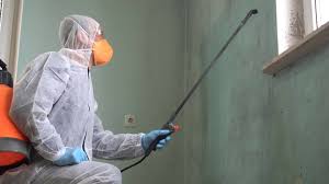 Why You Should Choose Our Mold Remediation Services in Dalhart, TX