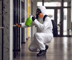 Best Mold Odor Removal Services  in Dalhart, TX